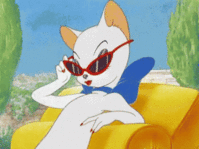 tenor-20.gif