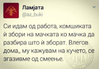 FB_IMG_1613681288759.jpg