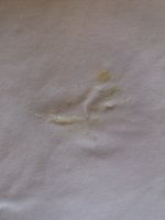 20210221_092932.jpg