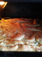 IMG_20210224_131325.jpg