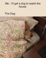 FB_IMG_1614174777895.jpg