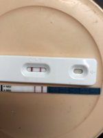 EB00FDA5-DE74-42DE-8C82-2AE0625E8E3D.jpeg