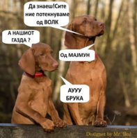FB_IMG_1614928214654.jpg