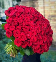A646BC88-26BC-4E78-A05A-258D91BF9C35.jpeg