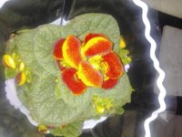 IMG_20210308_163825.jpg