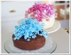 Two-cakes_thumb.jpg