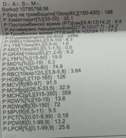 IMG_20210319_084852.jpg