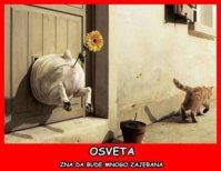 FB_IMG_1612723755661.jpg