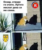 FB_IMG_1614429538976.jpg