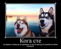 FB_IMG_1616341824163.jpg