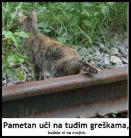 FB_IMG_1612778315526.jpg