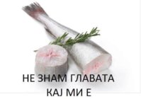 EE5F437B-27AD-4AB6-8B3F-C133B90E27D1.jpeg