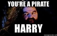 youre-a-pirate-harry.jpg