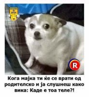 FB_IMG_1616512206944.jpg
