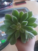 20210330_180518.jpg