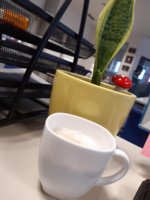 20210403_110057.jpg