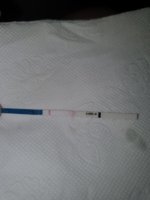 IMG-20210405-WA0000.jpg
