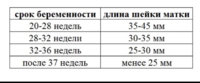 3A03F71C-4DDB-440A-BE46-C0296C1568D3.jpeg
