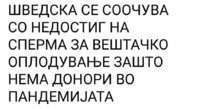 1111.jpg