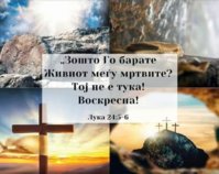FB_IMG_1619915095915.jpg
