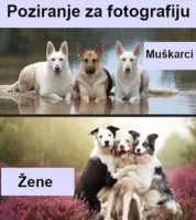 FB_IMG_1618124676156.jpg