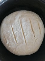 IMG_20210512_130735.jpg