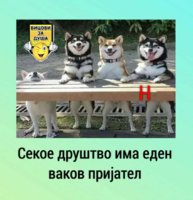 FB_IMG_1621176350239.jpg