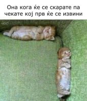 BDE924D6-A262-4B8C-92AF-CDF3AB07456B.jpeg