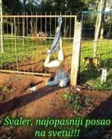 FB_IMG_1620338414033.jpg