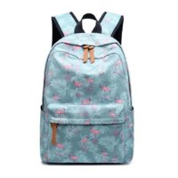 school-backpack-bag-500x500.jpeg