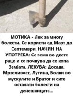 C8640E7E-55D1-443E-9FA0-0EBD0C655AEA.jpeg