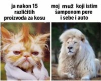 FB_IMG_1622211192889.jpg
