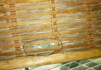 IMG_20210527_224857.jpg