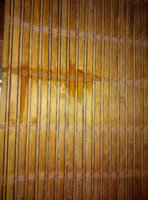 IMG_20210527_225548.jpg