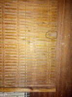 IMG_20210527_225501.jpg