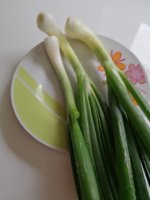 IMG_20210601_140930.jpg