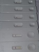 20210604_111959.jpg