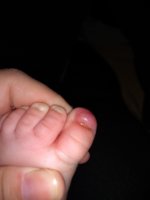 IMG_20210611_011401184.jpg