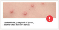 norice_izpuscaj_MK.jpg
