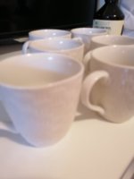 IMG_20210613_133239.jpg