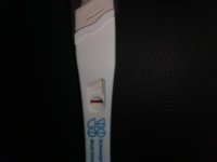 IMG_20210613_142938.jpg