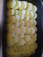 IMG_20210612_121456.jpg