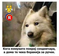 01C13331-90C3-475D-81DB-69ADC3994D3E.jpeg