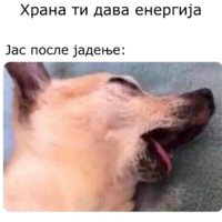 6A20987C-3F9F-4B36-84D5-ED114818DD0D.jpeg