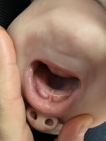 57AAED0E-10AF-474D-9C77-F52816CC48B6.jpeg