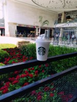IMG_20210624_094228.jpg