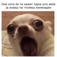 506CE9C3-AD8E-489D-B752-5E9290605202.jpeg