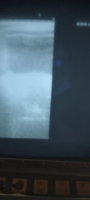 20210702_093545.jpg