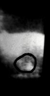 20210702_160658.jpg