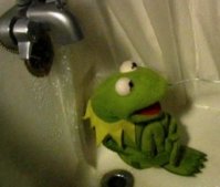 kermit-shower-01.jpg